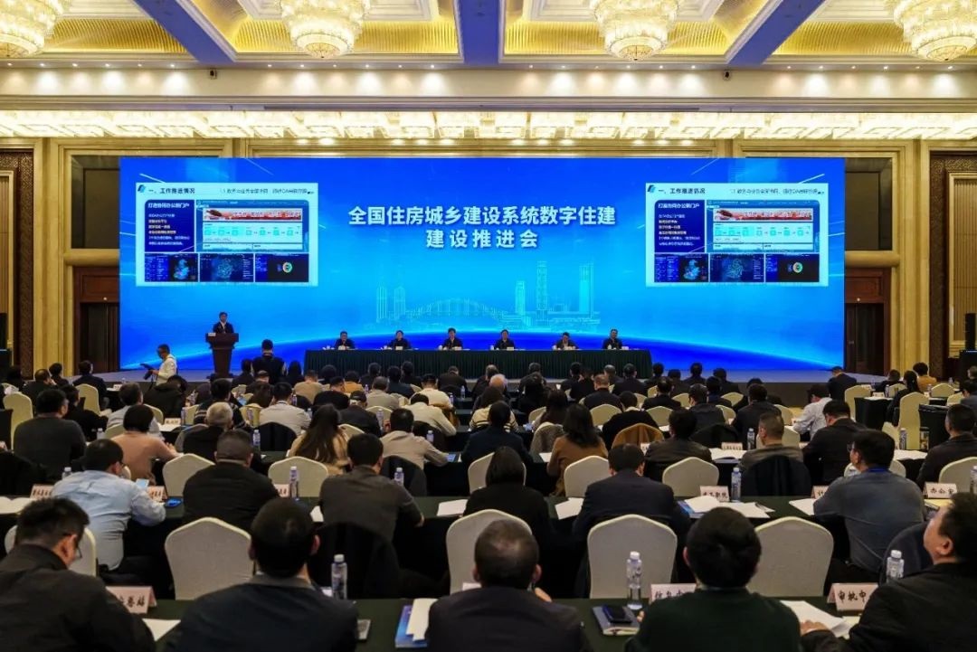 20250228JZDT01.jpg 20250228JZDT01.jpg